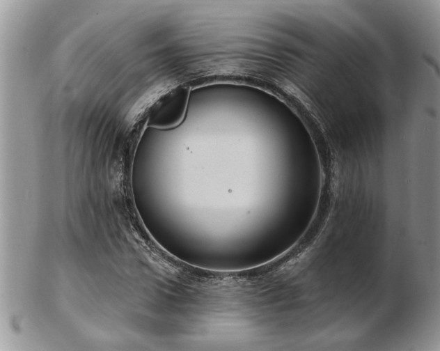 X0000103240922200808281437