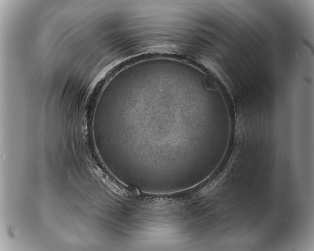 X0000103240923200808281438