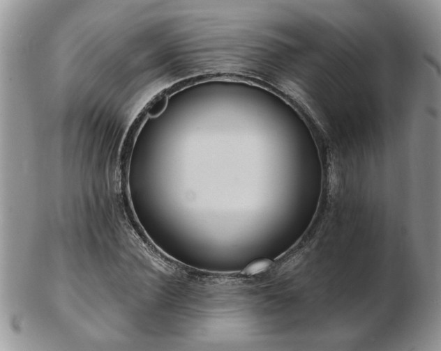 X0000103240924200808281438