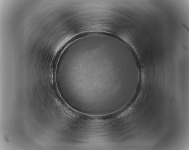 X0000103240925200808281438