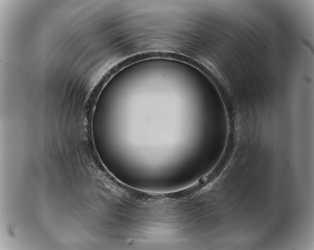 X0000103240926200808281438