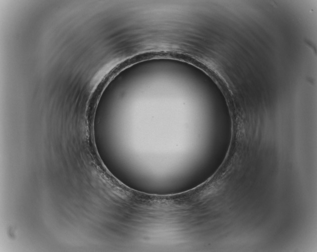 X0000103240927200808281438