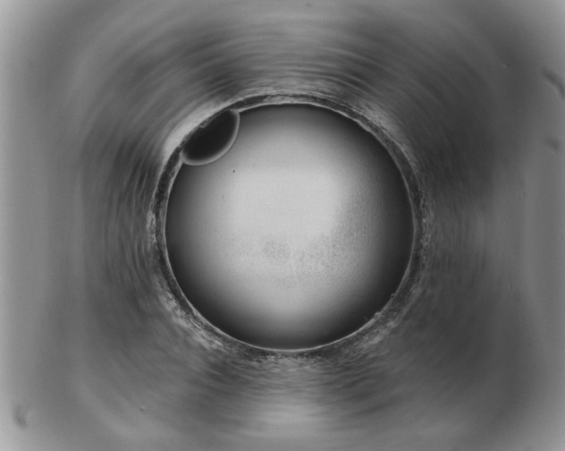 X0000103240928200808281438