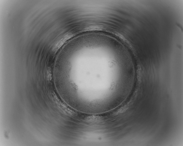 X0000103240929200808281438