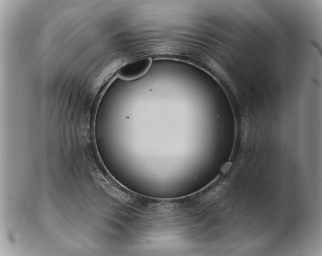 X0000103240930200808281438