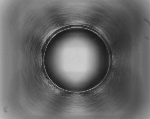 X0000103240931200808281438