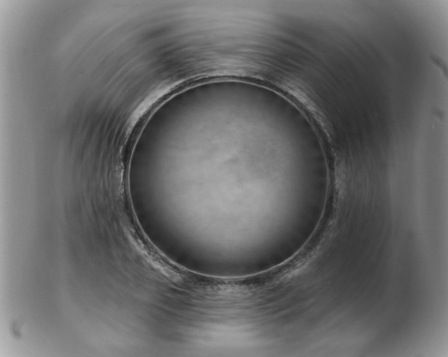 X0000103240933200808281438