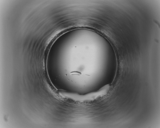 X0000103240934200808281438