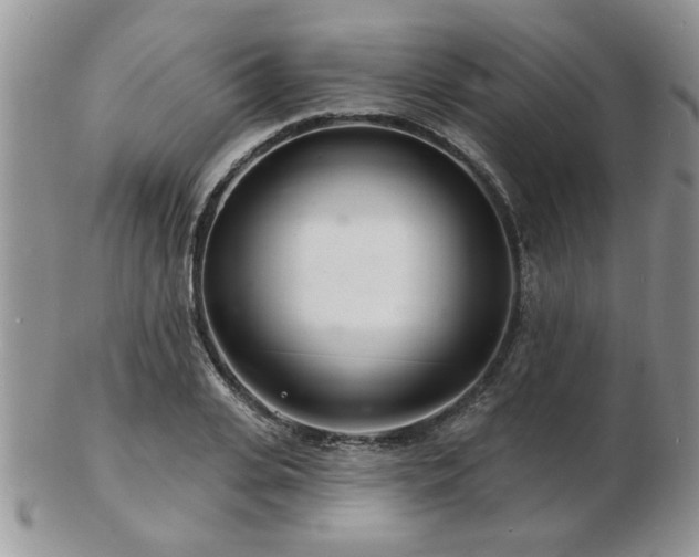 X0000103240935200808281438