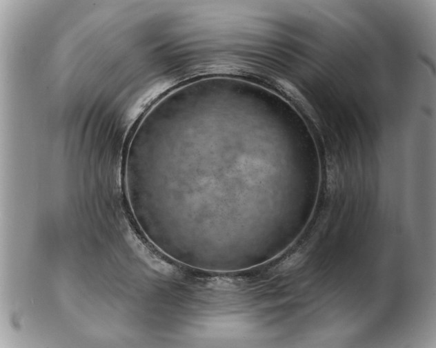 X0000103240938200808281438