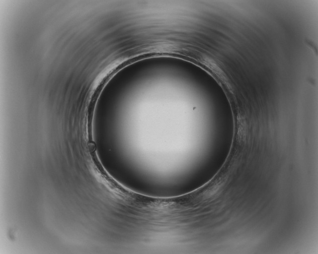 X0000103240939200808281438