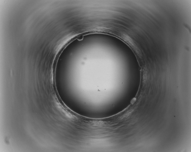 X0000103240940200808281438
