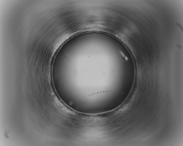 X0000103240941200808281438