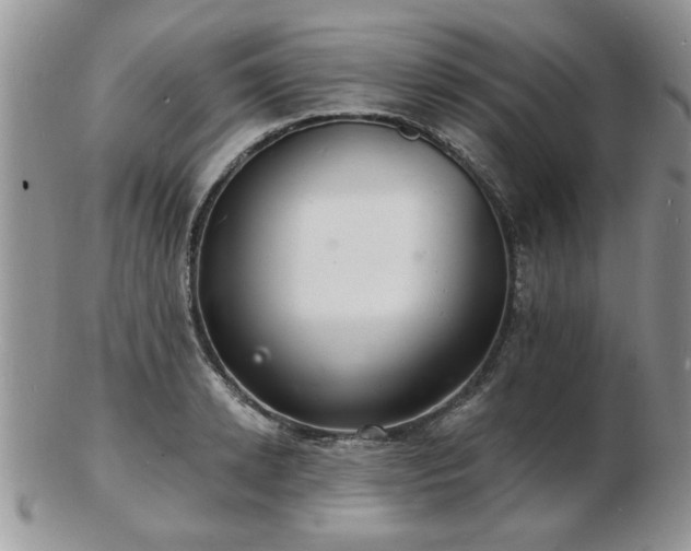 X0000103240942200808281438