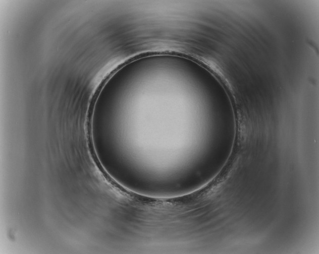 X0000103240943200808281438