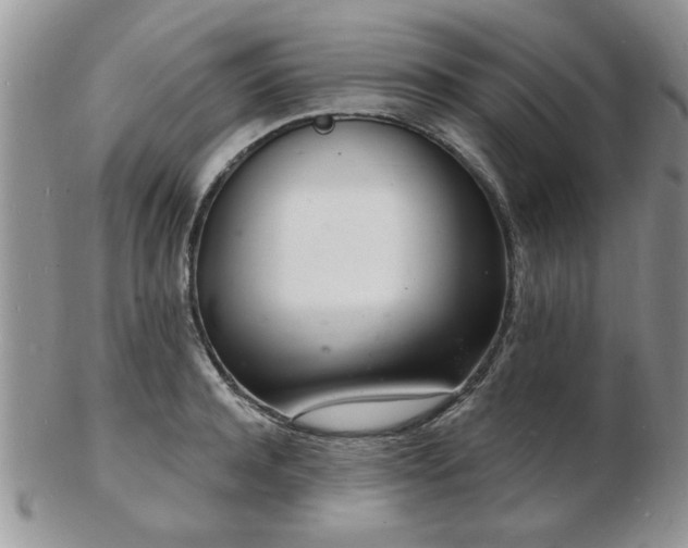 X0000103240944200808281438