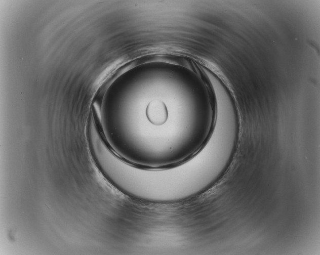 X0000103240946200808281438
