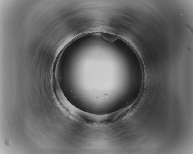 X0000103240949200808281438