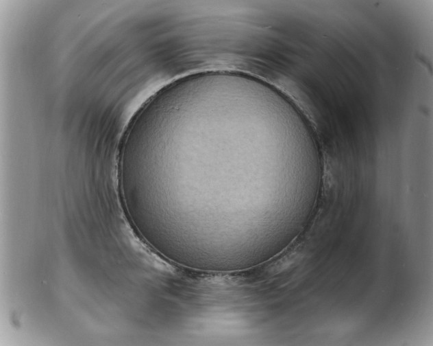 X0000103240950200808281438