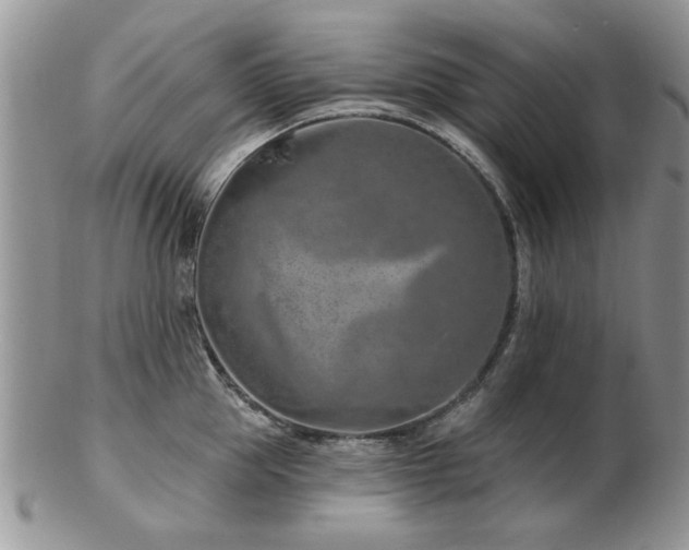 X0000103240953200808281438