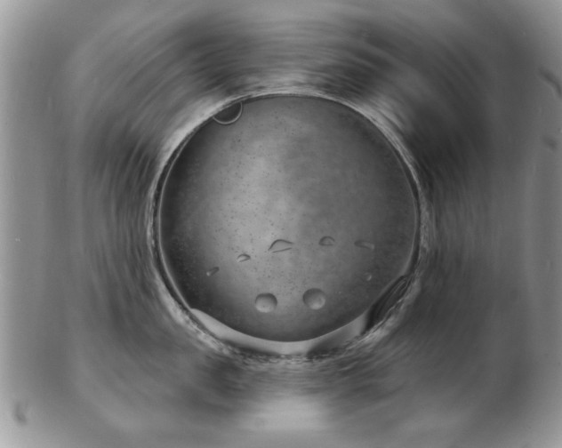 X0000103240957200808281438