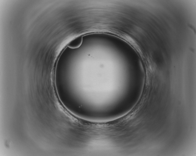 X0000103240958200808281438