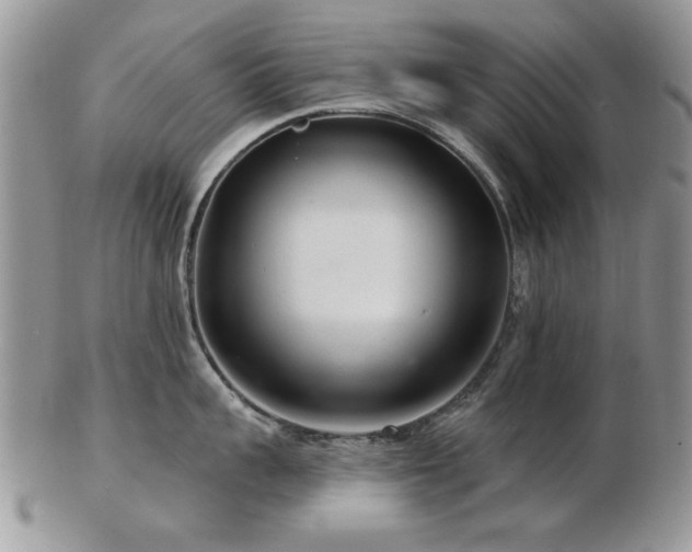 X0000103240959200808281438