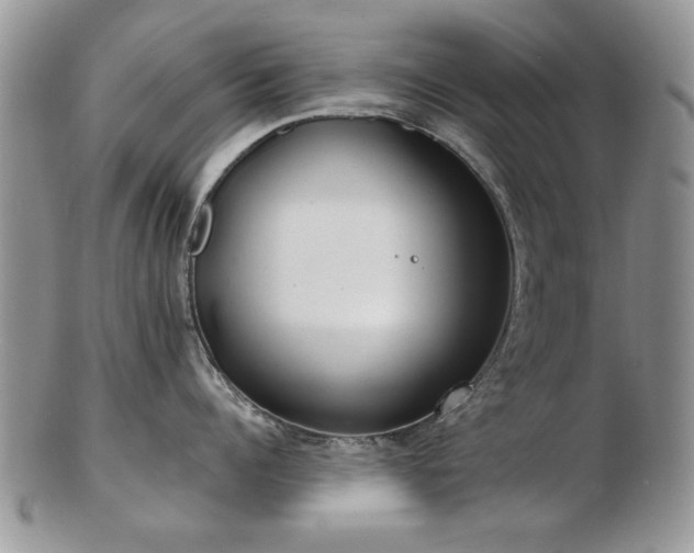 X0000103240960200808281438