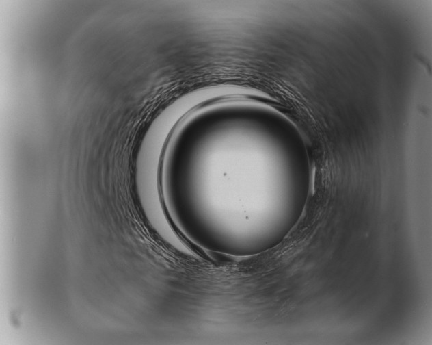 X0000103240961200808281437