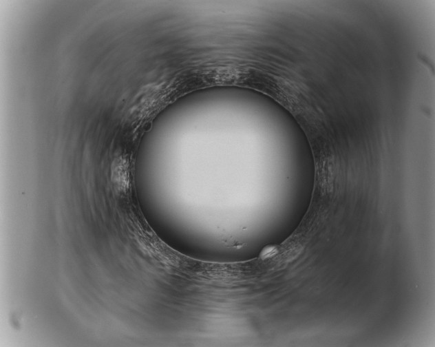 X0000103240962200808281437