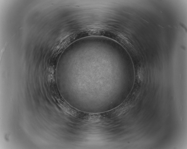 X0000103240964200808281437