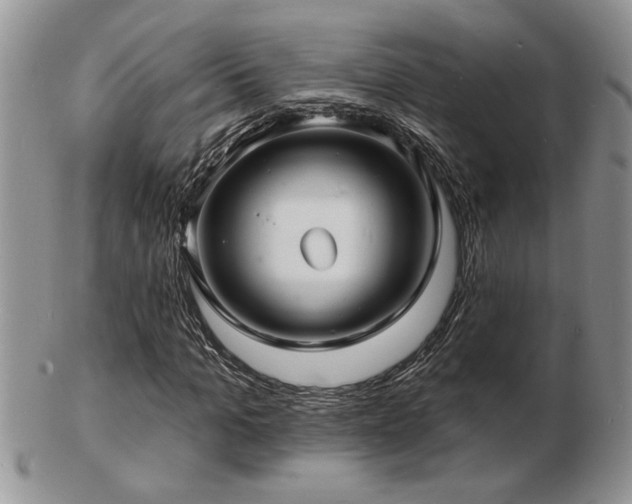 X0000103240965200808281437