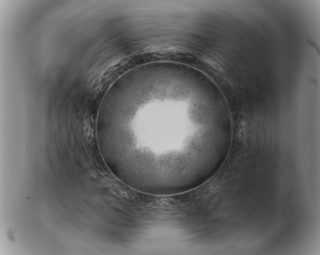 X0000103240966200808281437