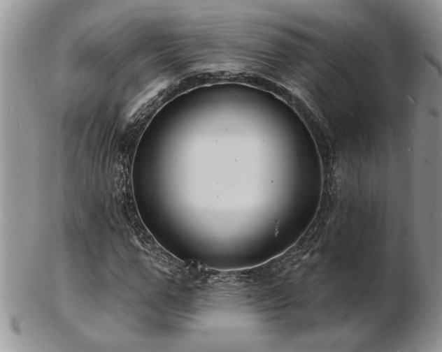 X0000103240967200808281437