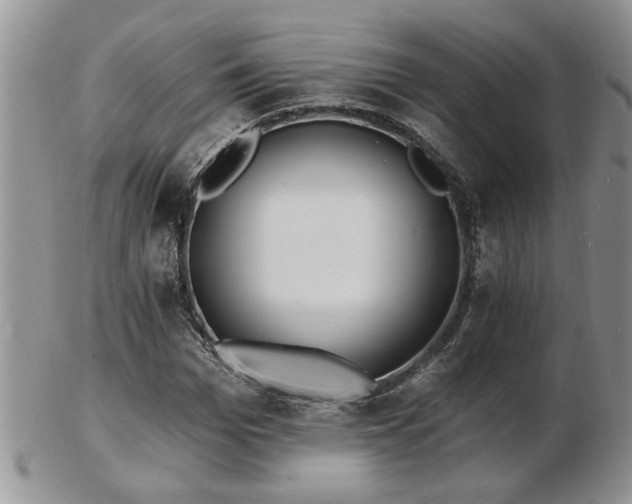 X0000103240969200808281437