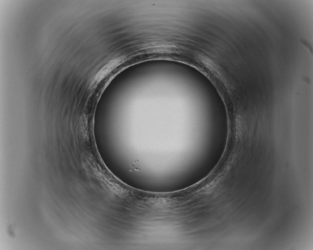 X0000103240970200808281437