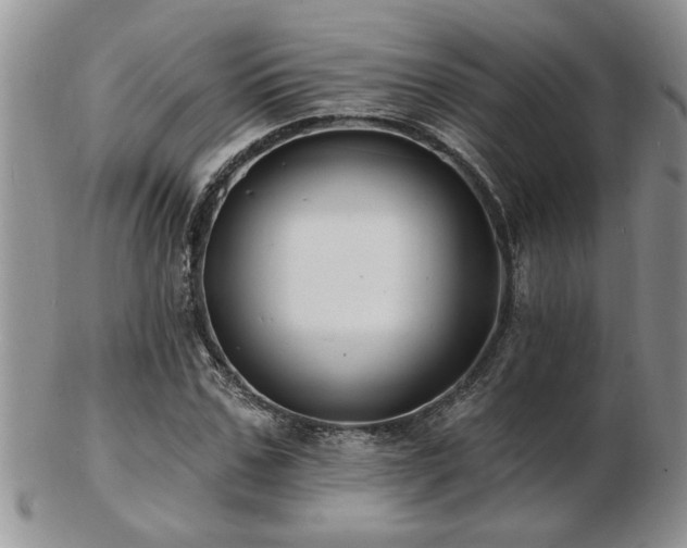 X0000103240971200808281437