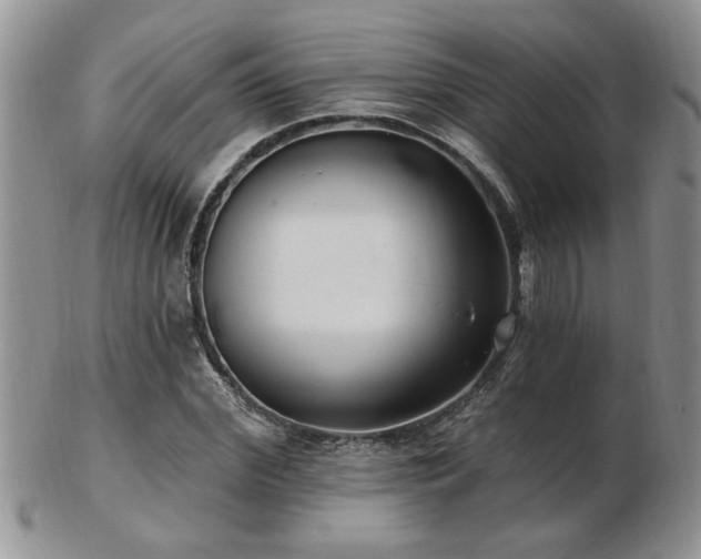 X0000103240972200808281437