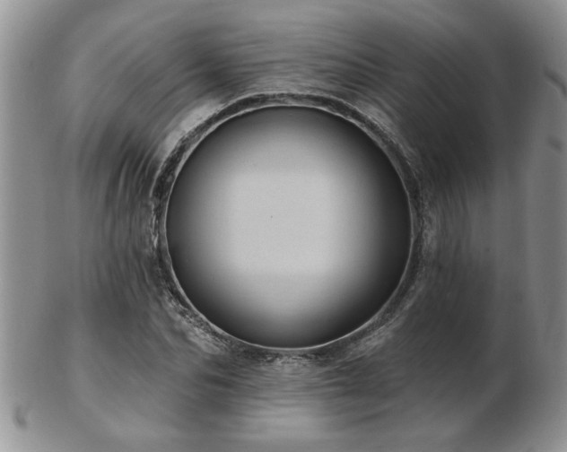 X0000103240974200808281437