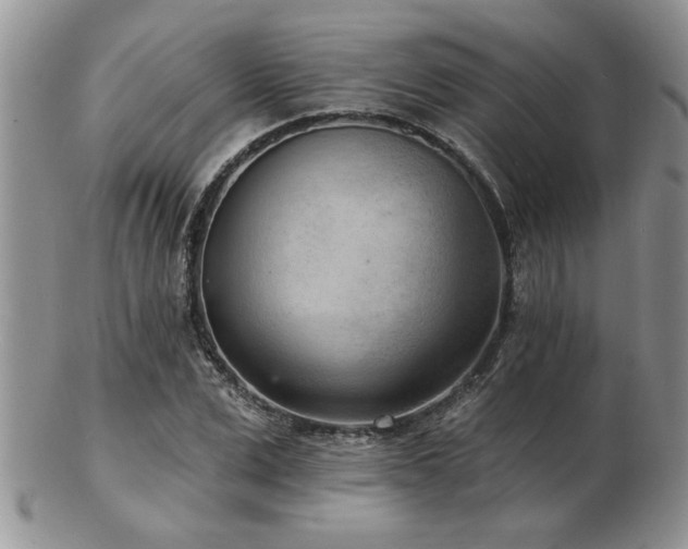 X0000103240975200808281437