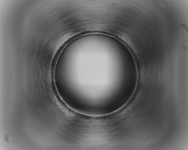 X0000103240976200808281437