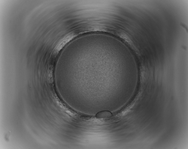 X0000103240977200808281437
