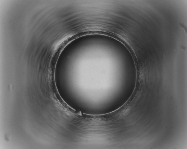X0000103240979200808281437
