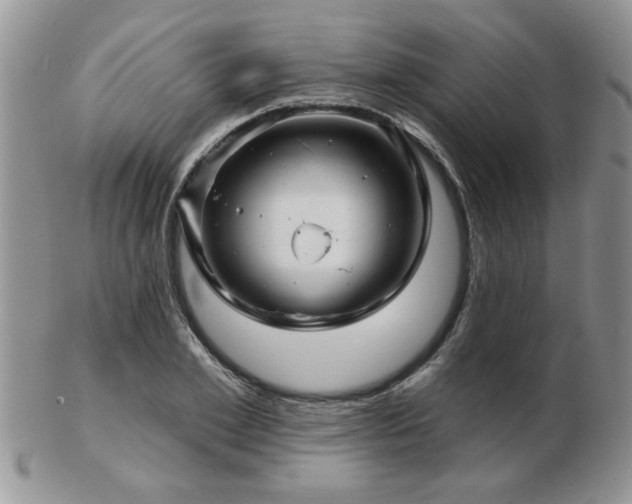 X0000103240981200808281437