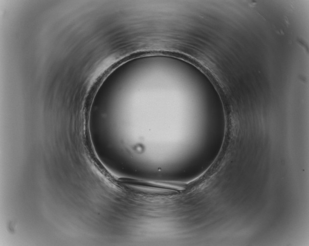 X0000103240982200808281437
