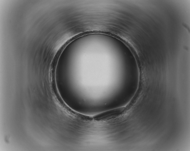 X0000103240983200808281437