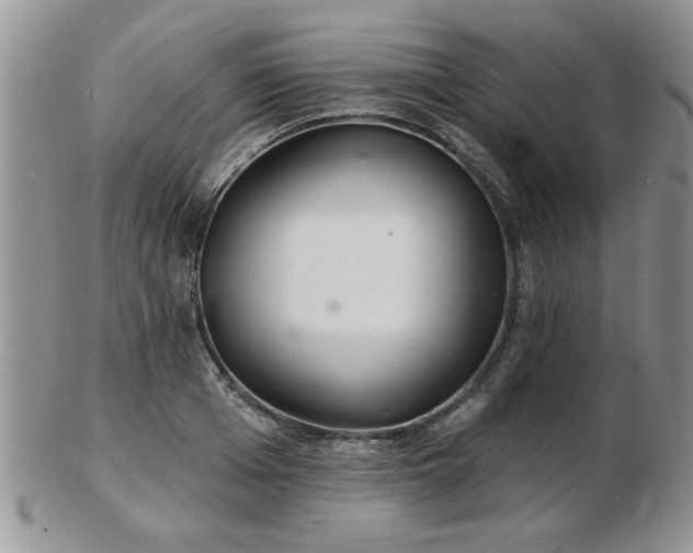 X0000103240985200808281437