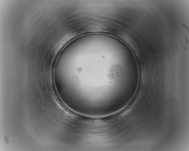 X0000103240986200808281437