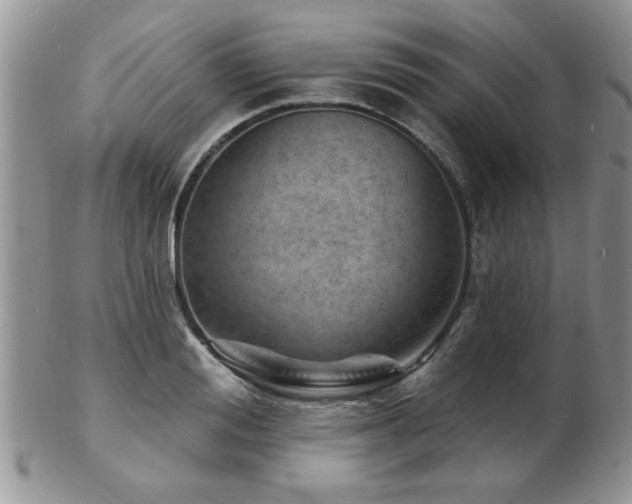 X0000103240988200808281437