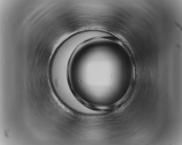 X0000103240989200808281437